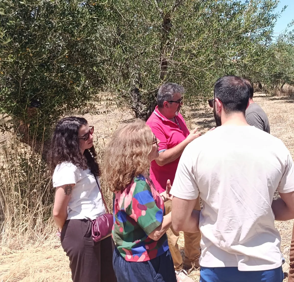 A Foggia prendono il via le azioni sperimentali di INTERESH 3